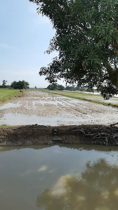 Parit 6 Sungai Manik Picture 2