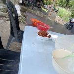 Homestay Family’s