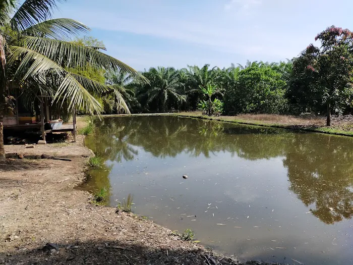 Homestay Air Manis Picture 9