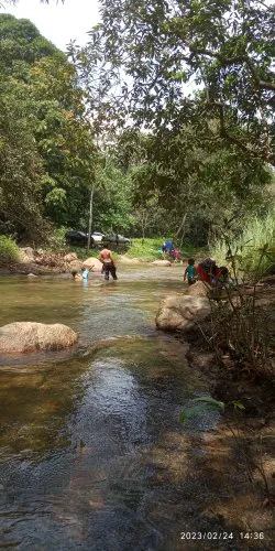 Campsite Lata Sandar Picture 1