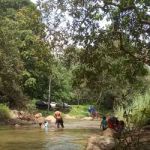 Campsite Lata Sandar
