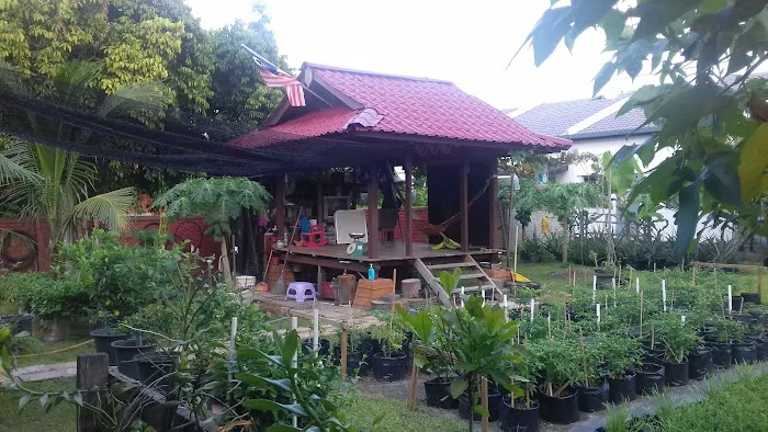 D'LIMAS manir Picture 2