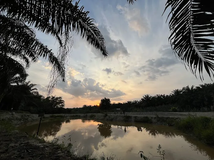 Tapak Perkemahan Bidor Picture 8