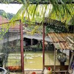 Dusun Suku Abad Guest House Homestay