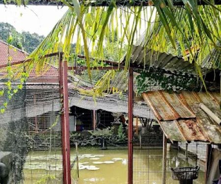 Dusun Suku Abad Guest House Homestay