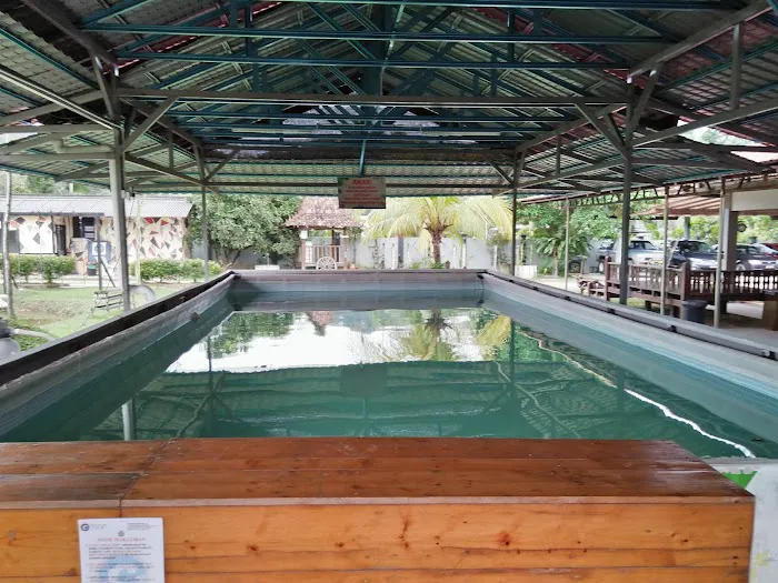 Dusun Suku Abad Guest House Homestay Picture 2