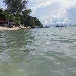 Mama's Chalet