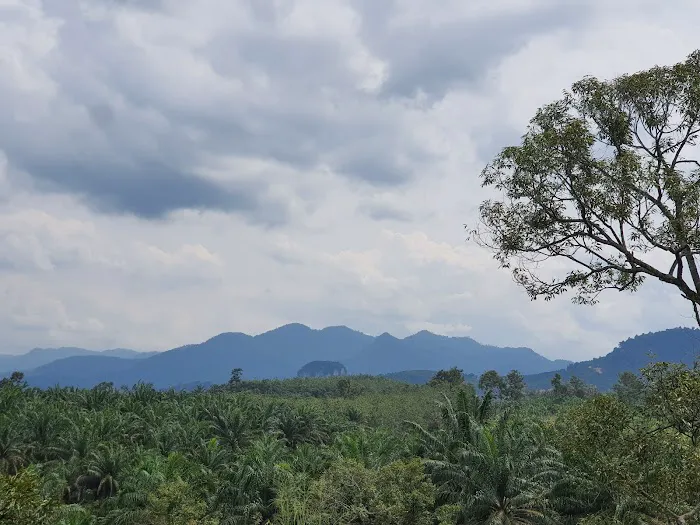 Cinta Manis Eco Resort Picture 6