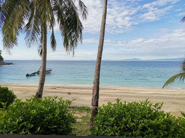 DCL Beach Resort Picture 1