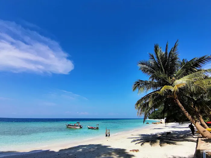 D'Coconut Lagoon Picture 2