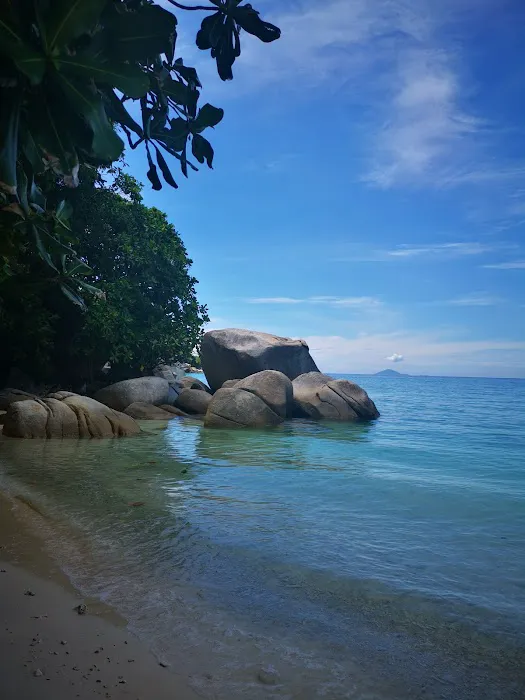 D'Coconut Dive Center, Lang Tengah Picture 3