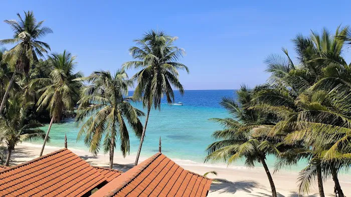 D'Coconut Dive Center, Lang Tengah Picture 10