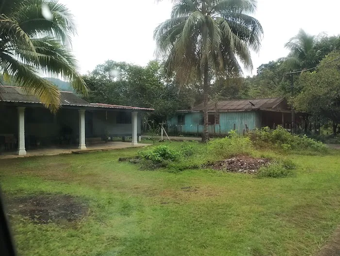 Tok Ayah Homestay Pulau Redang Picture 9