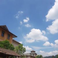 Mahallah Halimah ico