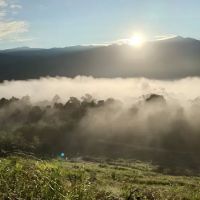 Behrang Camp De Orchard ico