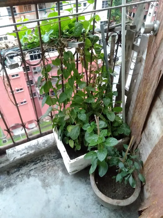 Kelana Impian Apartments Picture 8