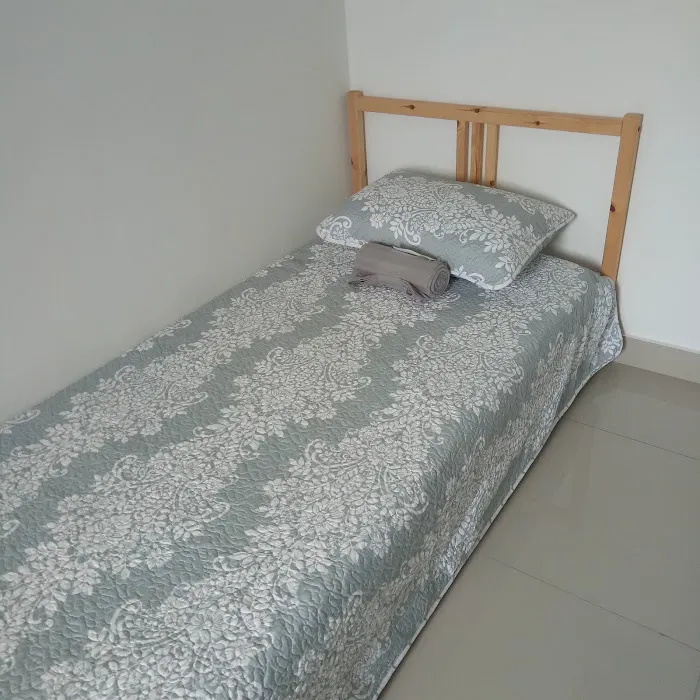 Alesha Homestay 63 Picture 2