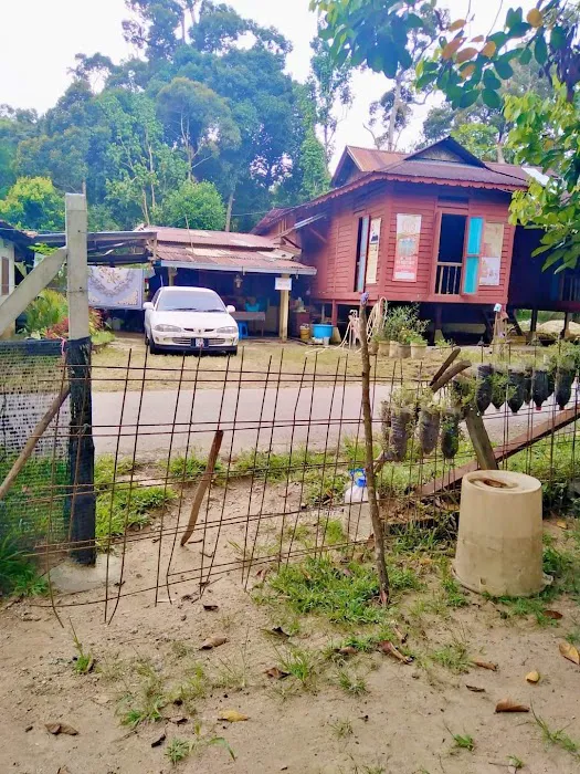 Teratak Mak Enon @ Kampung Jelebu Picture 3