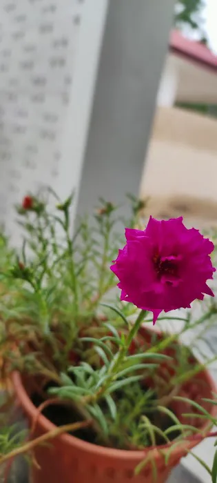 AizudFajar Picture 5