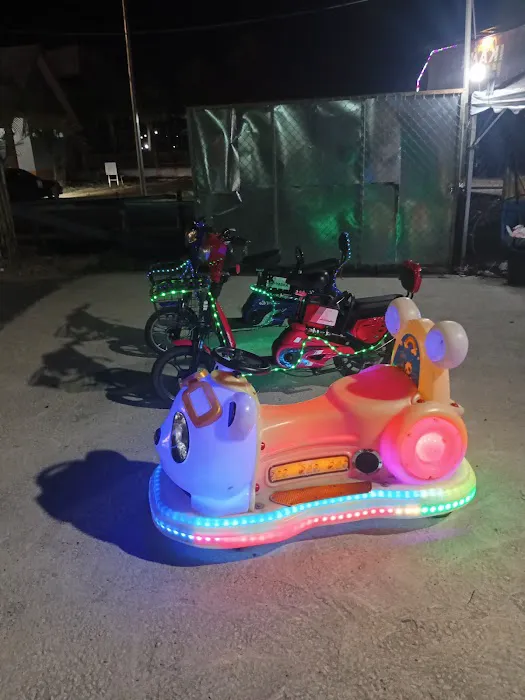 Farisul Electric Cart & Bike Picture 4