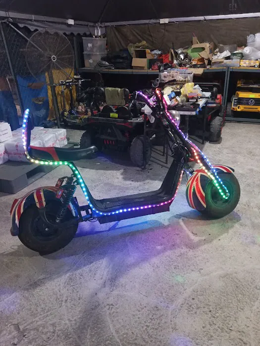 Farisul Electric Cart & Bike Picture 7