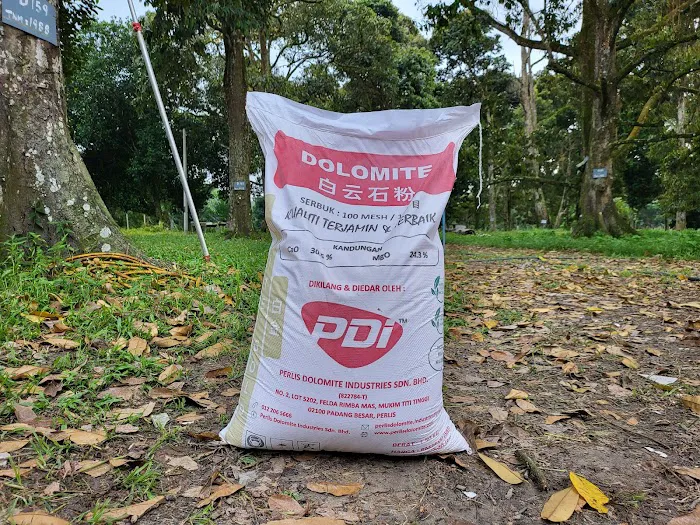 PERLIS DOLOMITE BANGI Picture 7