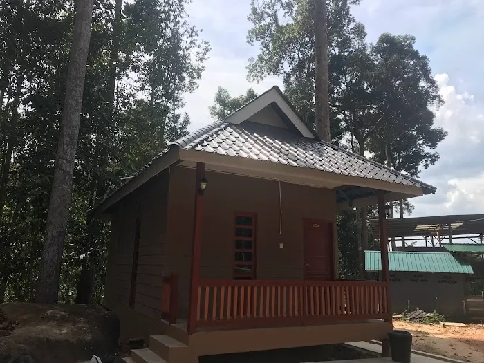 Lata Kolam Air Deru Ecopark Picture 7