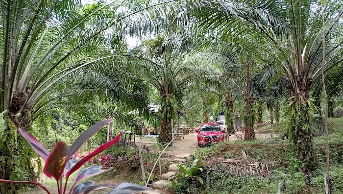 Homestay Bogey Villa Picture 6