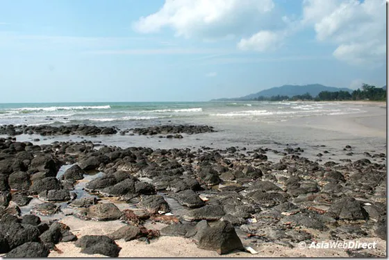 Lily Homestay Kuantan Airport Picture 4