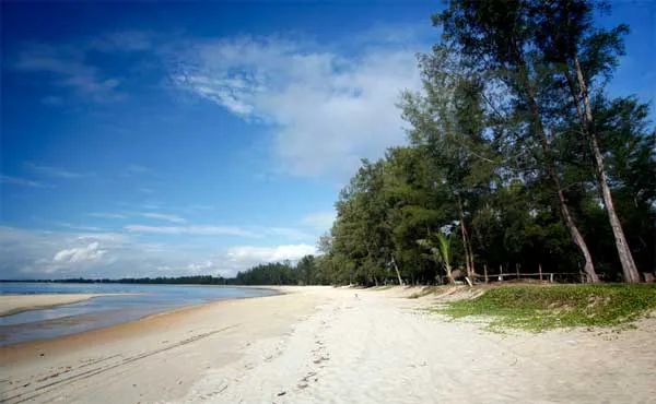 Lily Homestay Kuantan Airport Picture 8