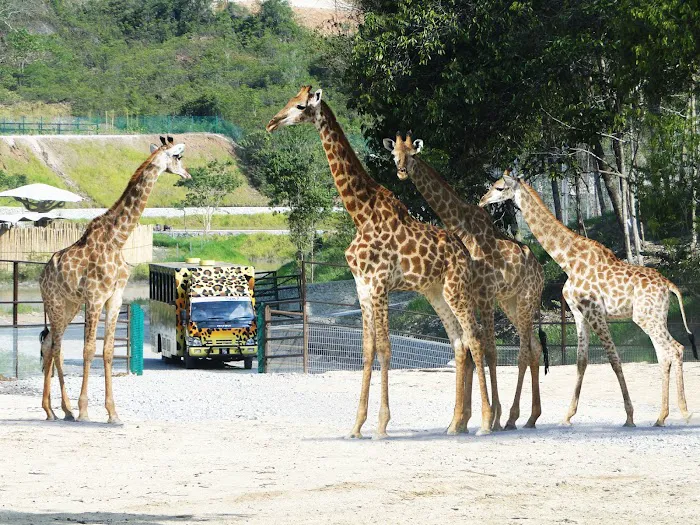 Lily Homestay Kuantan Airport Picture 7