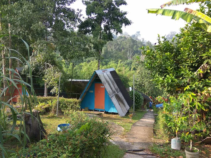 Dusun Eco Resort Picture 9
