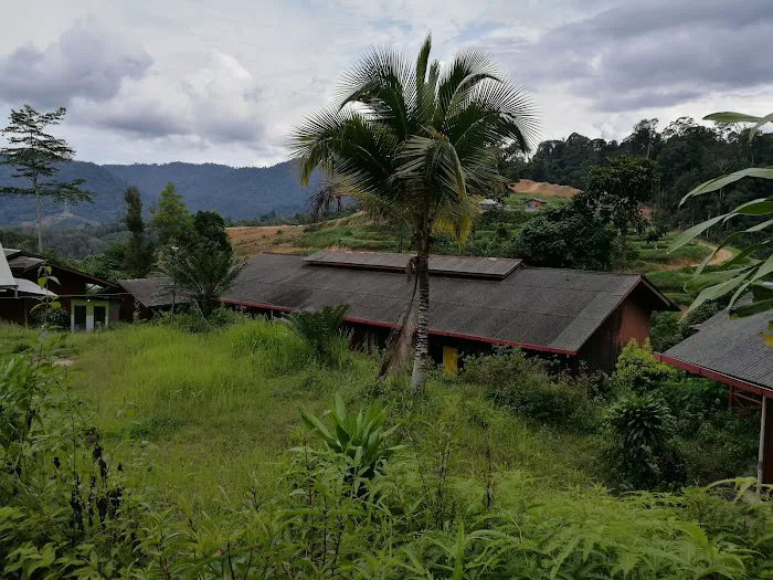 Dusun Eco Resort Picture 4