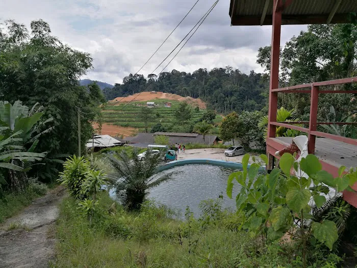 Dusun Eco Resort Picture 10