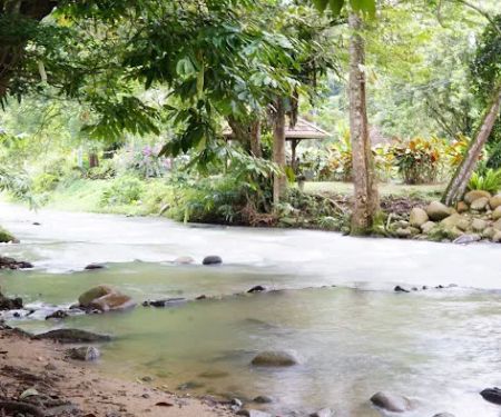 Tam's Chalet