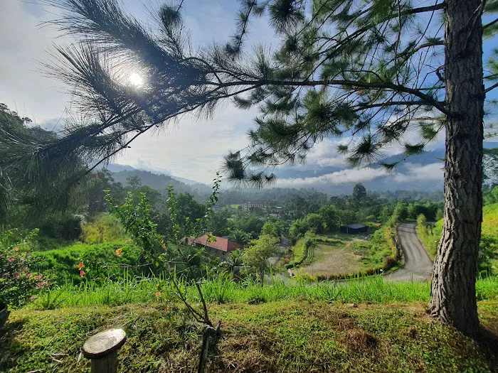Cherengin Hills Convention & Spa Resort Janda Baik, Bentong Picture 1