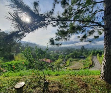 Cherengin Hills Convention & Spa Resort Janda Baik, Bentong