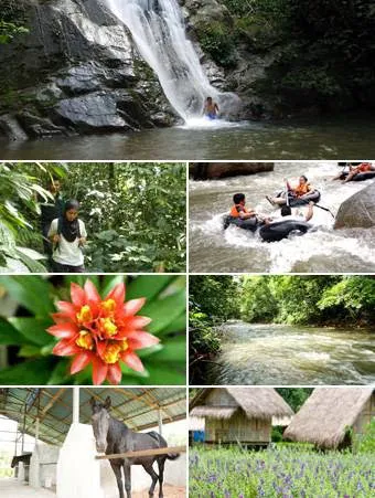 Cherengin Hills Convention & Spa Resort Janda Baik, Bentong Picture 10