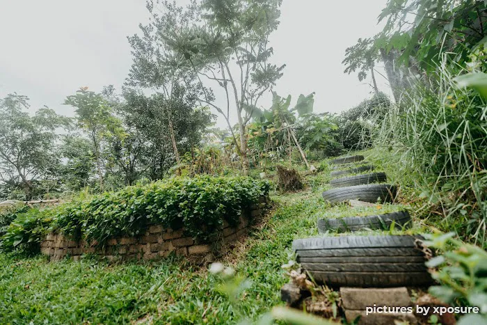 Tirtha Quddus Farm Stay Picture 3
