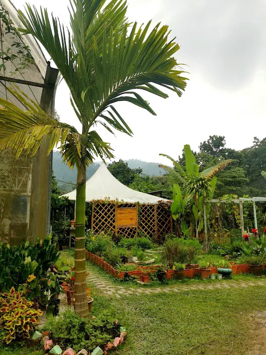 Tirtha Quddus Farm Stay Picture 10