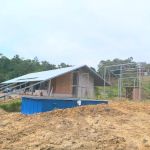 The Silver House, Janda Baik