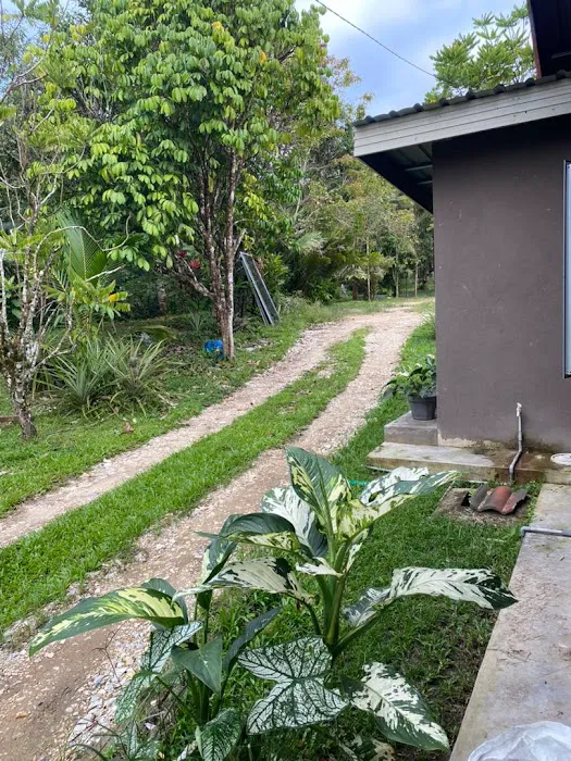 Ajie Homestay Picture 7