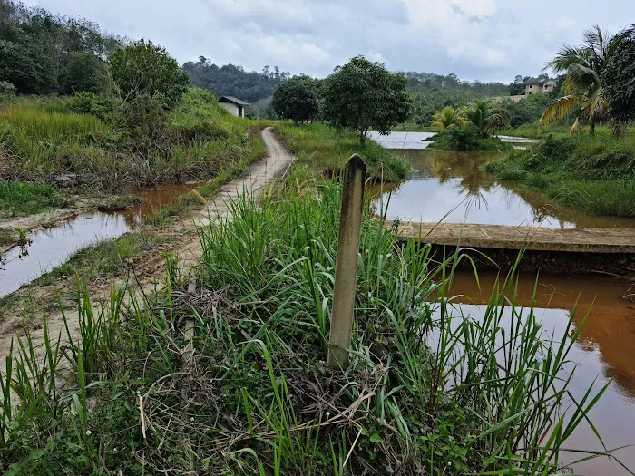Kuarters Stesen Penyelidikan RRIM BUKIT KUANTAN Picture 6