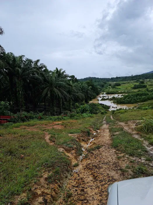 Kuarters Stesen Penyelidikan RRIM BUKIT KUANTAN Picture 8