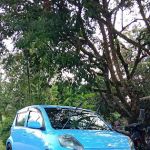 Felda Bukit Goh