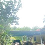 Nabila Rest House