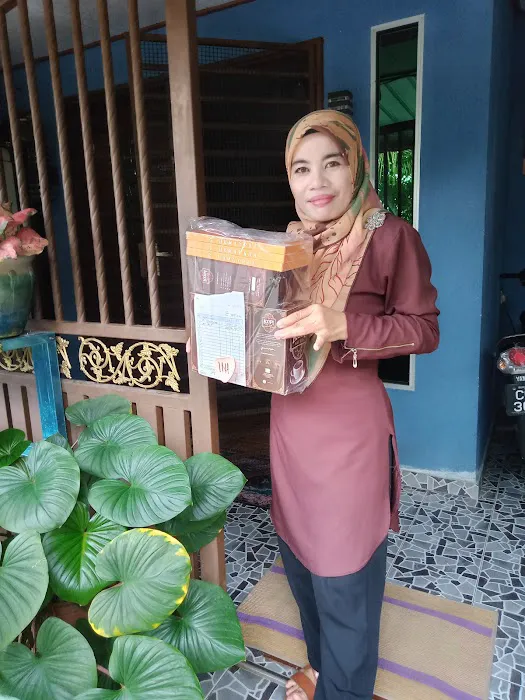 Taman Temerloh Jaya Indah Picture 1