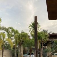 Jamal The Solo Builder ico