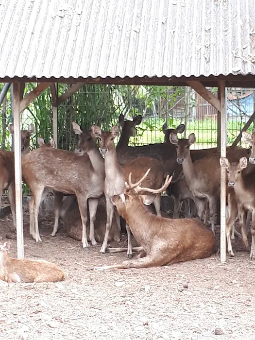 WNS Homestay Picture 6