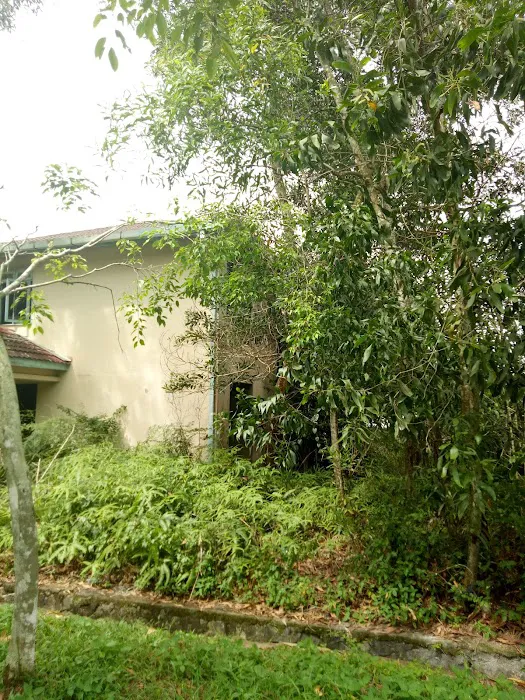 Rumah Mayflower Picture 1
